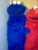 Party Animals Georgia