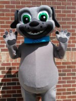 Party Animals Georgia