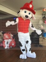 Party Animals Georgia