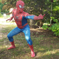 Party Animals Georgia Spiderman