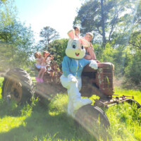 Party Animals Georgia Easter Bunny